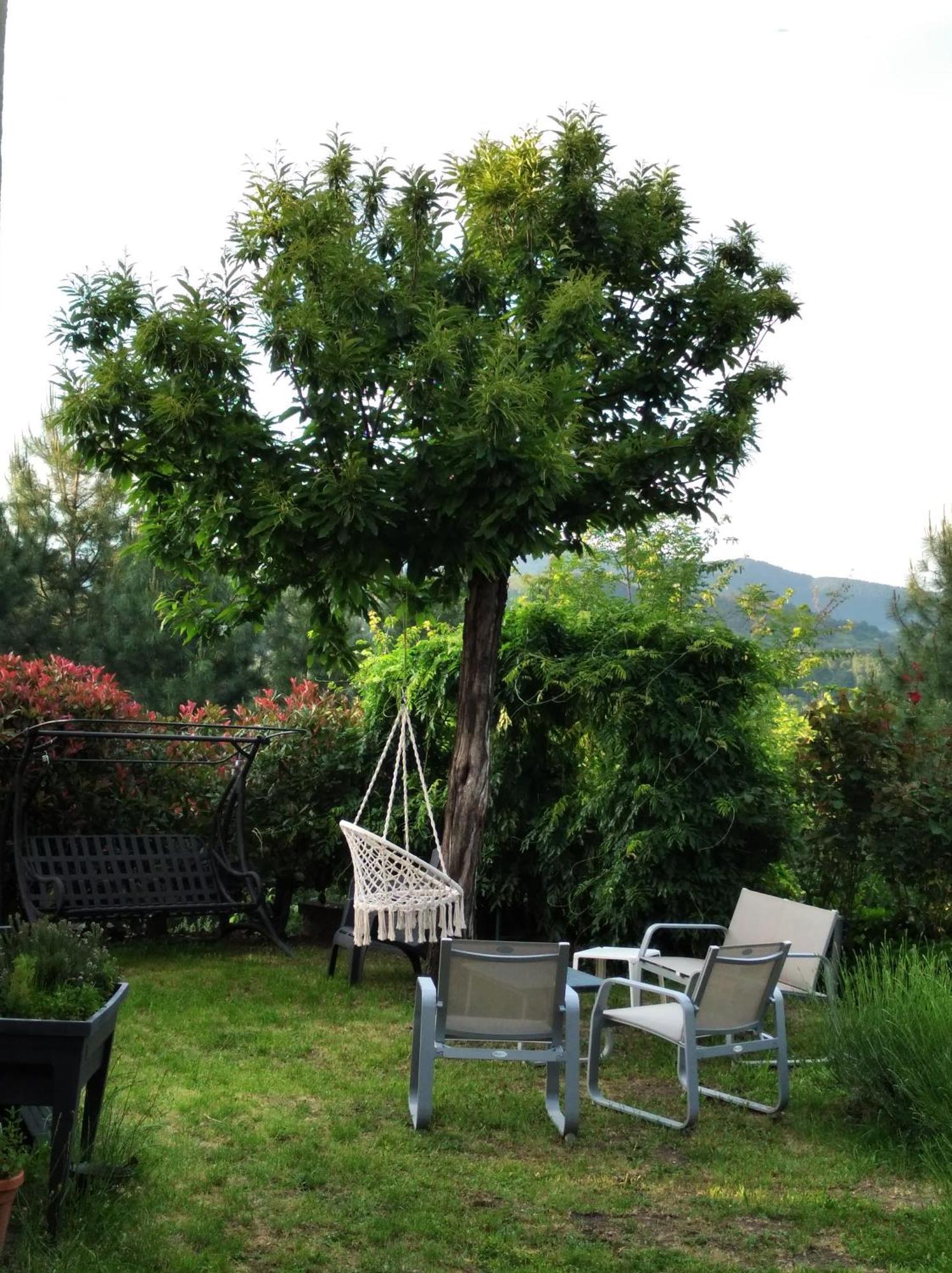 Le Ptit Crouzon Apartment Prades  ภายนอก รูปภาพ
